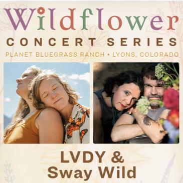 LVDY & Sway Wild-img